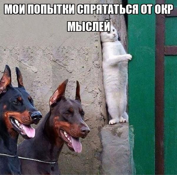 ������ ����� ������ ������������ ����������-������������� ������������?