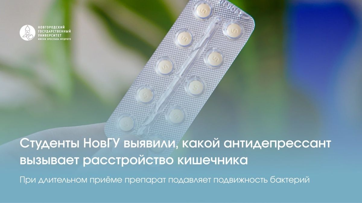 Как антидепрессанты влияют на кишечную флору: новое исследование студентов НовГУ