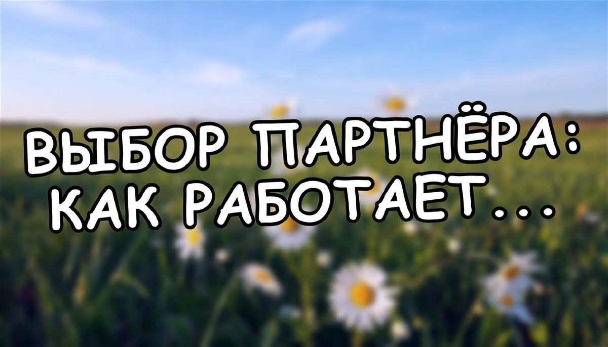 Как наши ранние травмы влияют на выбор партнёра