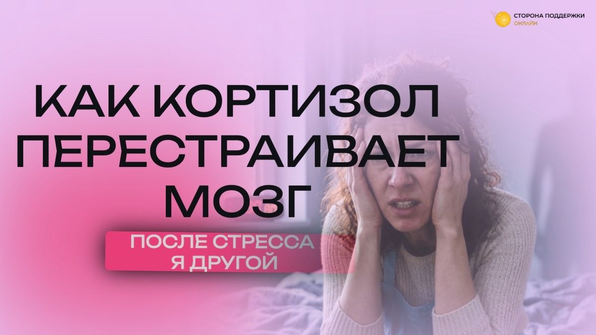 ����� ������ ��������� ���� � ����� ����� � ��� � ���� ����������