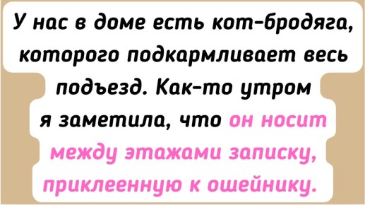 15 удивительных историй о животной любви и романтике
