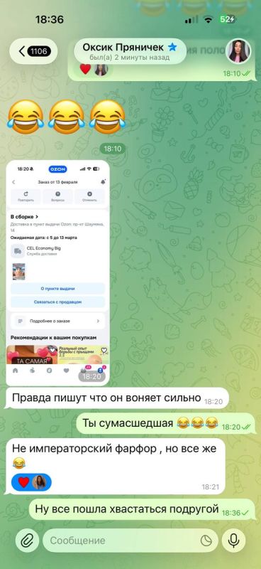 Закрытие рубрики «Лучшая подруга»: новая глава в нашем проекте