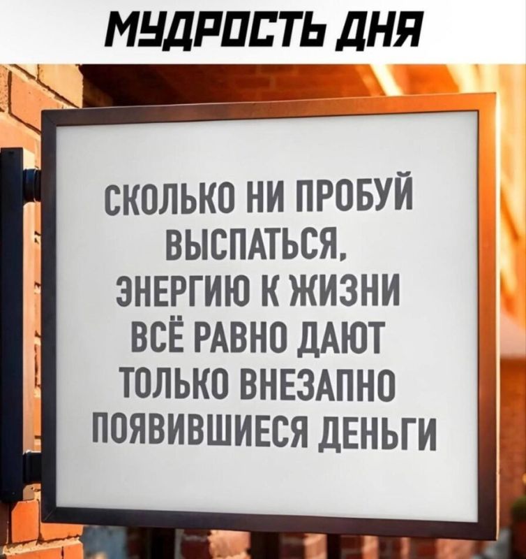Почему стремление к деньгам и статусу становится вопросом выживания?