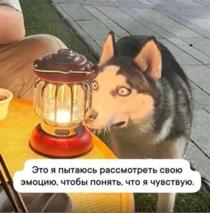 Как понять свои чувства: советы психолога для поиска внутреннего я
